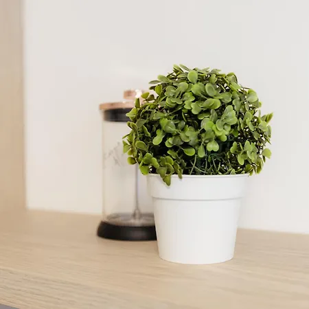 Apartmán Komarnicka Retreat Bratislava